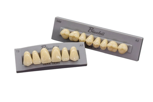 BLUEBELL PMMA RESIN